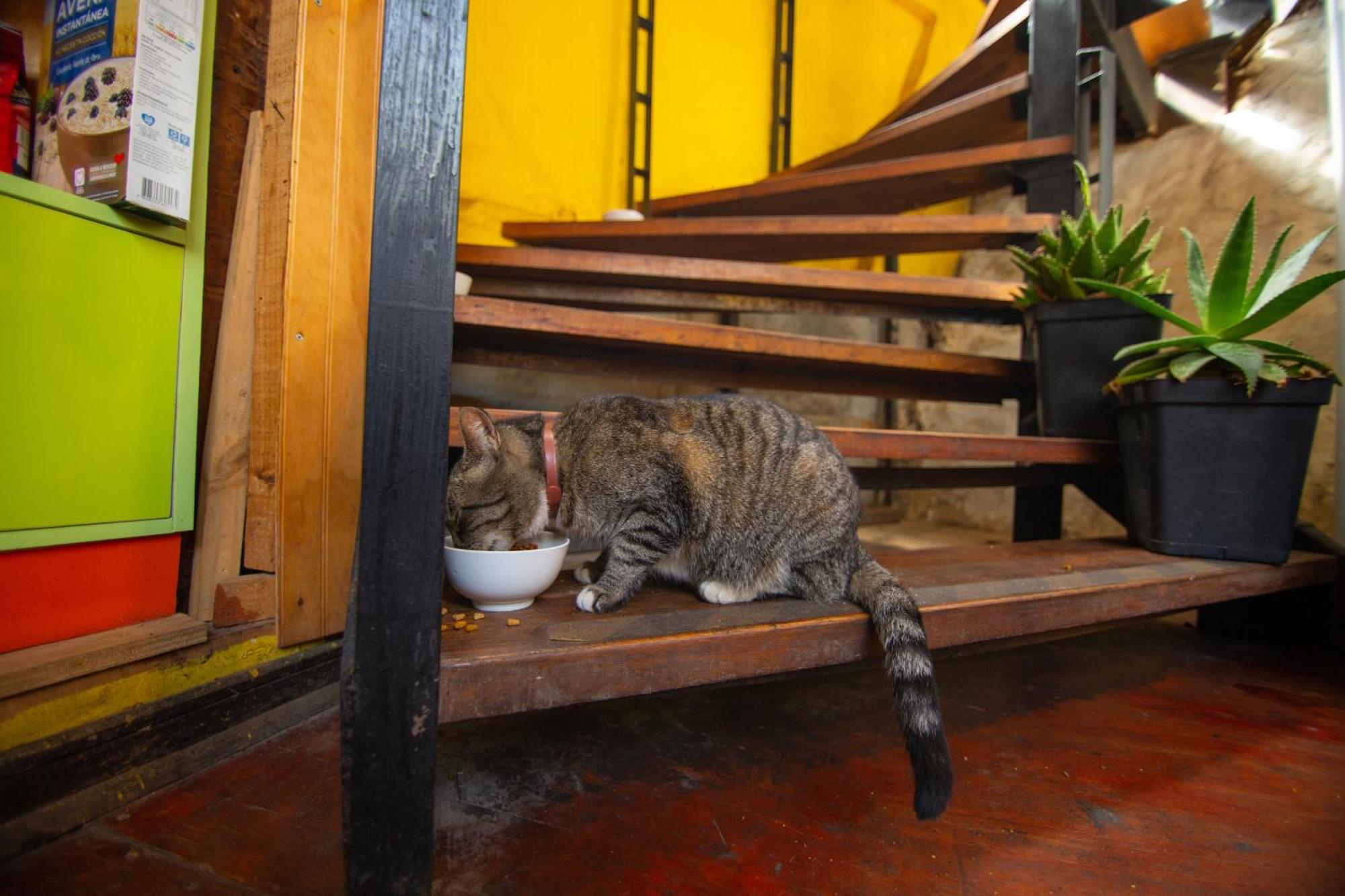 La Casa Del Puerto, Hostal Cultural, Cerro Alegre Valparaíso Екстериор снимка