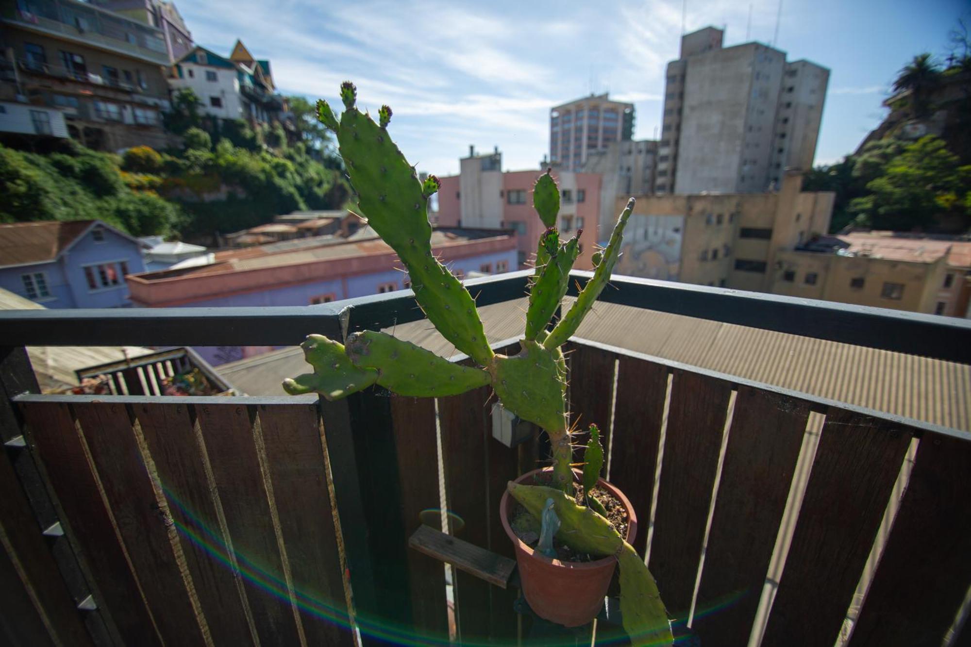 La Casa Del Puerto, Hostal Cultural, Cerro Alegre Valparaíso Екстериор снимка