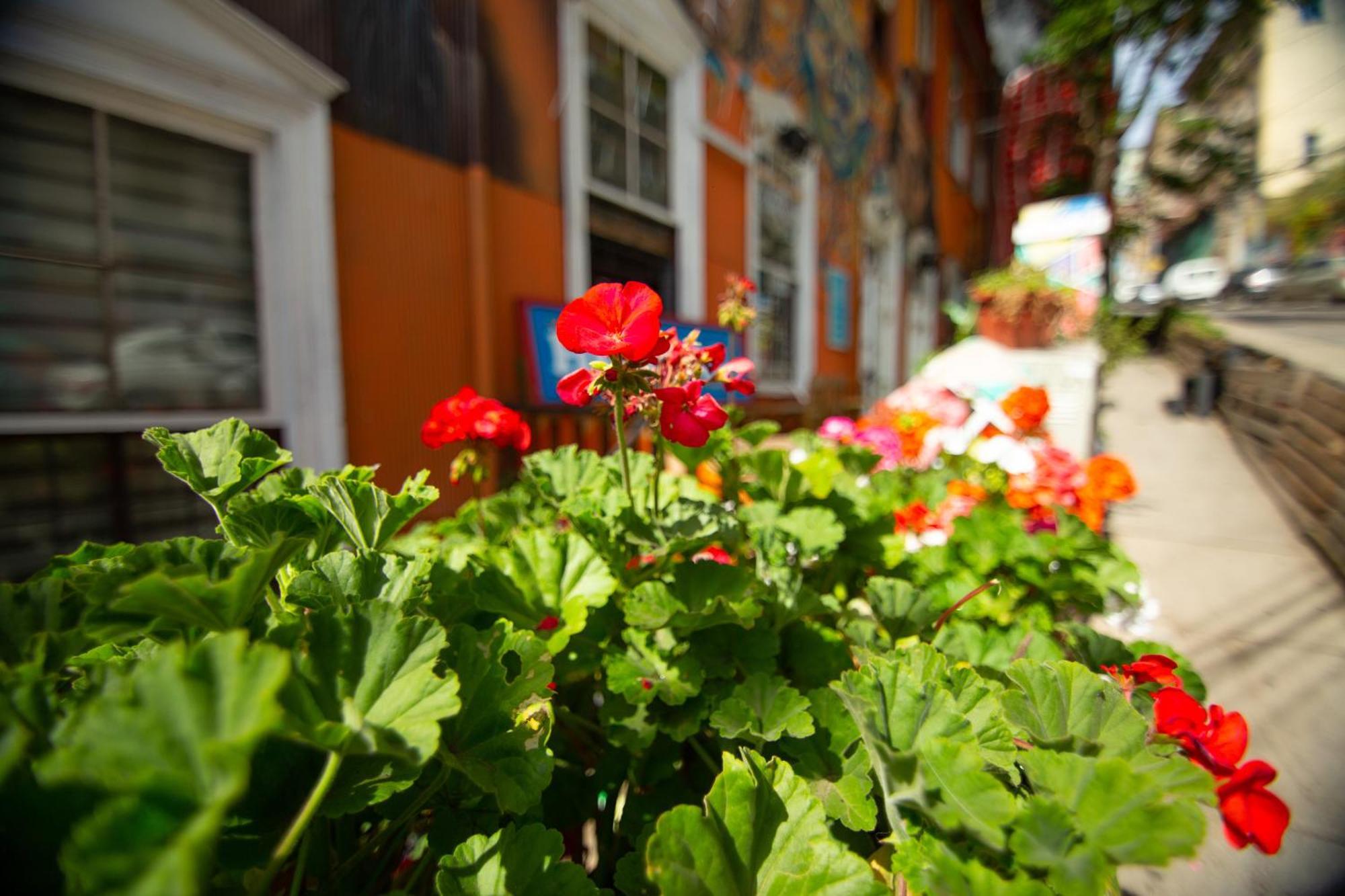 La Casa Del Puerto, Hostal Cultural, Cerro Alegre Valparaíso Екстериор снимка